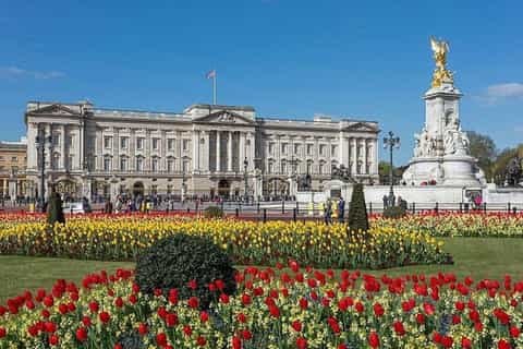 London: Buckingham Palace & Royal City Walking Tour - 2026
