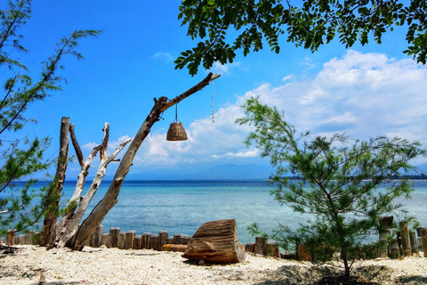 Lombok: 3-Spot Gili Snorkeling Tour with GoPro Documentation SHARED SNORKELING AT 3 GILI SPOTS