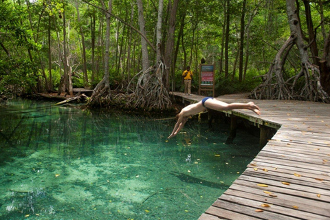 From Merida: Celestún biosphere, boat ride, and Beach day Celestún biosphere, boat ride, mangroves and beach day