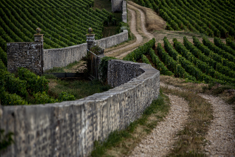 Small group full day tour in the Burgundy vineyards