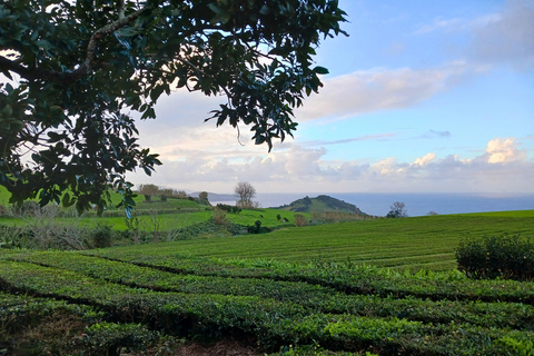 Traditions & Flavors of São Miguel Tour