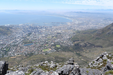 Cape Town: Table Mountain, Penguins & Cape Point Shared Tour
