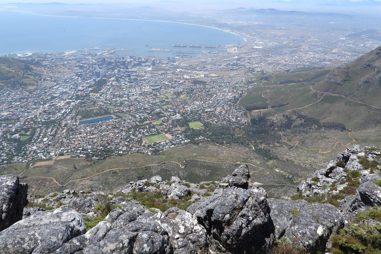Cape Town: Table Mountain, Penguins & Cape Point Shared Tour