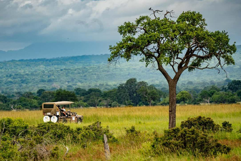 From Zanzibar: Mikumi Safari Day Trip with Flights and Lunch Mikumi Shared Safari without hotel transfer
