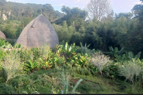 Addis Ababa: 10-Day Cultural and Tribal Routes Tour