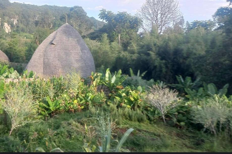 Addis Ababa: 10-Day Cultural and Tribal Routes Tour