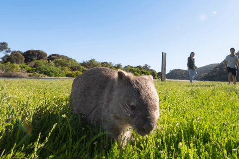 威尔逊海角国家公园全天生态游威尔逊岬国家公园全日游