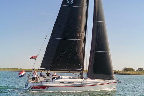 Wemeldinge: Oosterschelde Sailing Trip with Skipper - 3 hrs