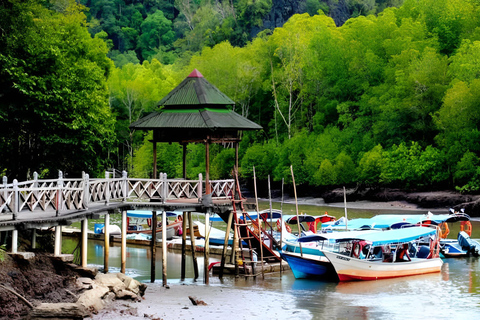 Langkawi: Mangroven-Touren mit Optionen