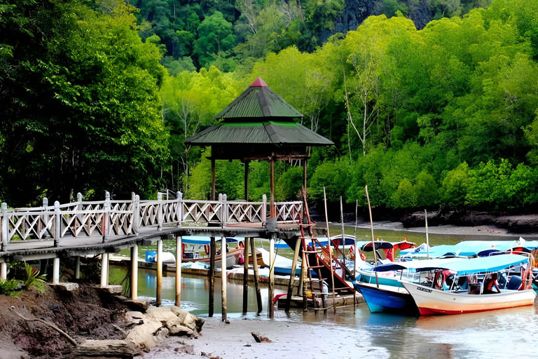 Langkawi: Mangroven-Touren mit Optionen