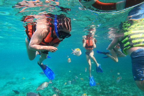 Isla Mujeres: Snorkeling Adventure at the Underwater Museum Isla Mujeres: Snorkeling Tour at the Underwater Museum