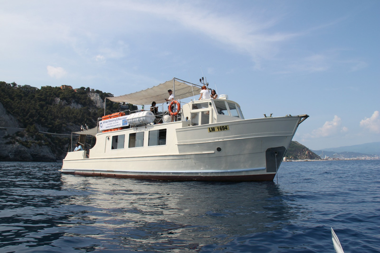 Varazze: Pelagos Sanctuary Wildlife Cruise with Guide