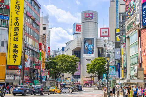 Tokyo City Tour: Private Full-Day Tour with Hotel Pickup Comfortable, air-conditioned Vellfire for 1–6 guests-8- Hour