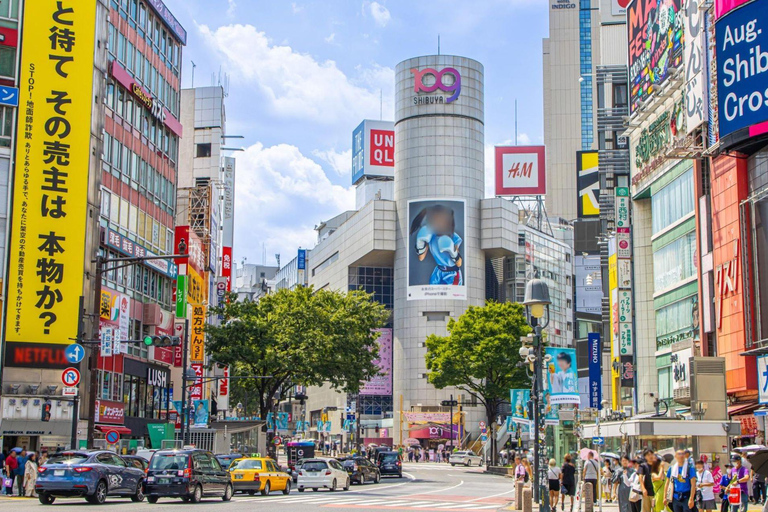 Tokyo City Tour: Private Full-Day Tour with Hotel Pickup Comfortable, air-conditioned Vellfire for 1–6 guests-8- Hour