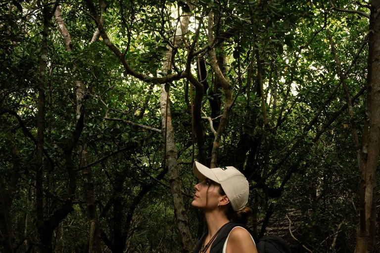Jozaniforest, Kuza-Höhle, Blaue Lagune, Felsenrestaurant