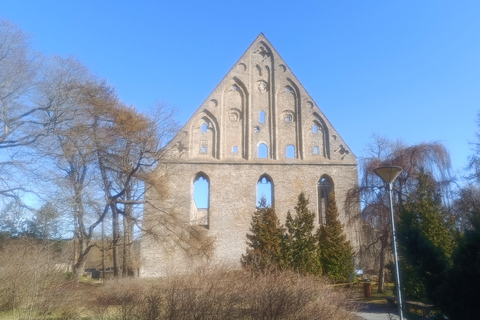 Medieval Tallinn - Carnivals, Punishments, Epidemics