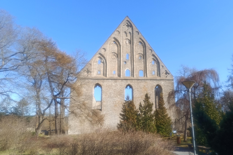 Medieval Tallinn - Carnivals, Punishments, Epidemics