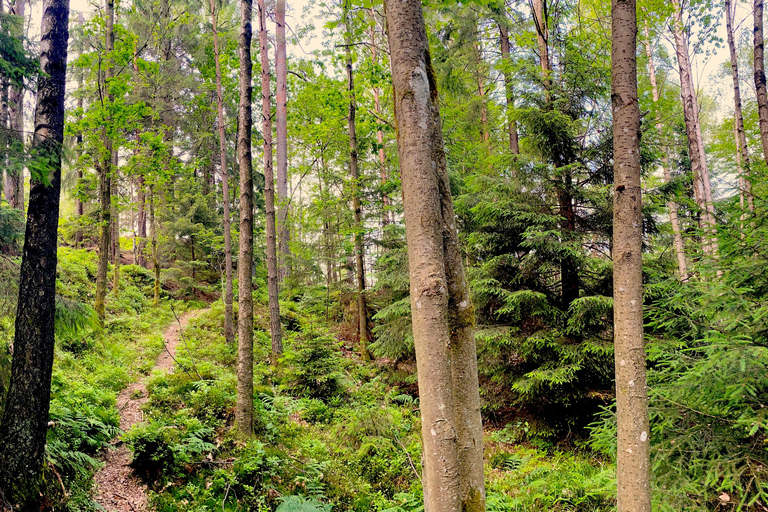 Göteborg: Das lokale Erlebnis – Hausbesuch, Essen &amp; WaldGöteborg: Erlebe Schweden mit einem Einheimischen