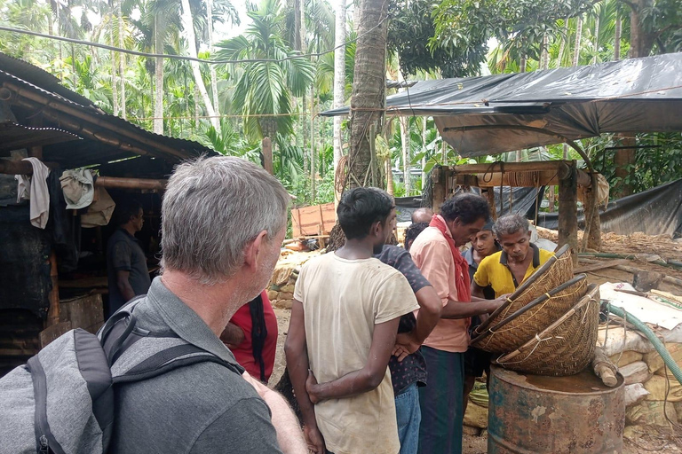 Colombo: Rathnapura Gem Mining Tour with Lunch
