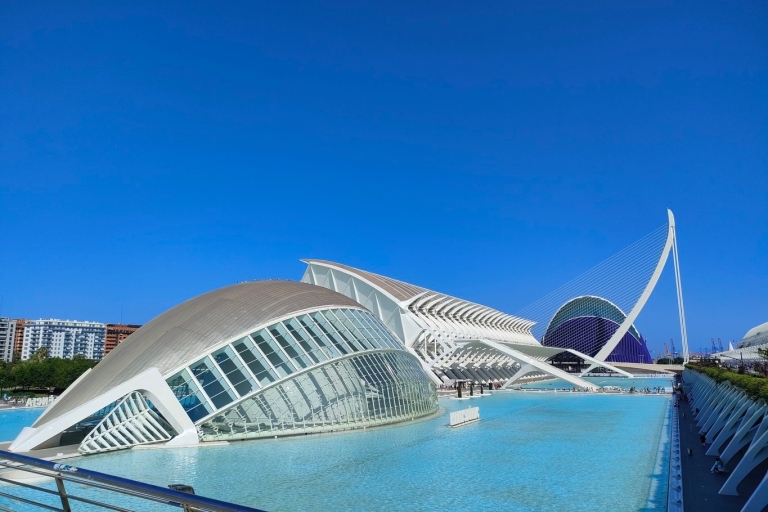 City of Arts and Sciences Private Bike tour