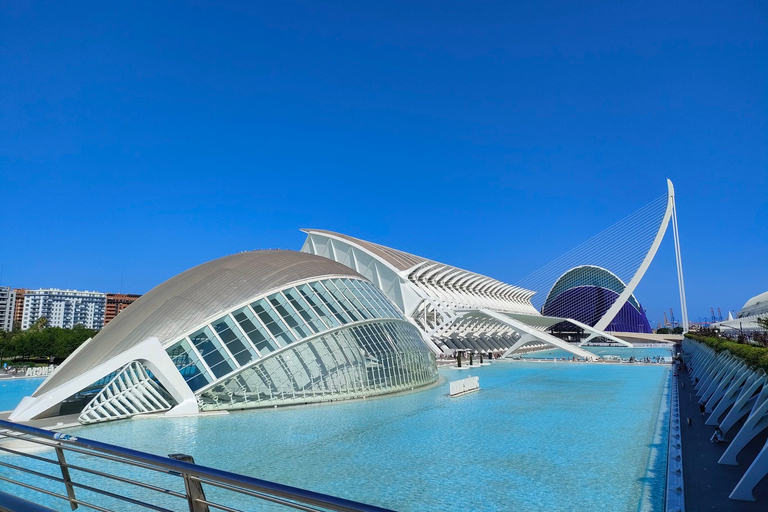 Visita privada en bicicleta por la Ciudad de las Artes y las Ciencias