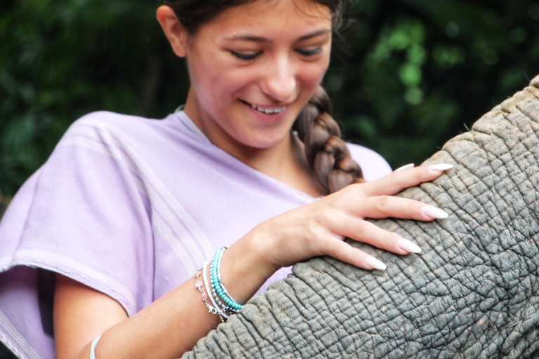 Esperienza esclusiva di mezza giornata con gli animali giganti della famiglia