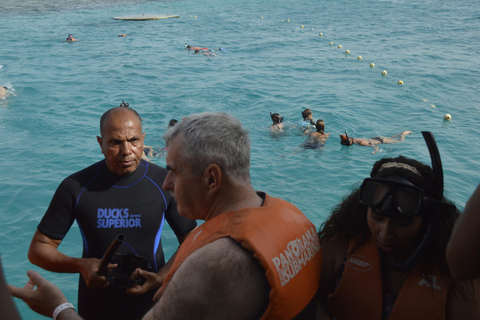 Hurghada/El Gouna: Pół-łódź podwodna z panoramą i snorkelingiemHurghada/El Gouna: wycieczka łodzią podwodną z nurkowaniem z rurką