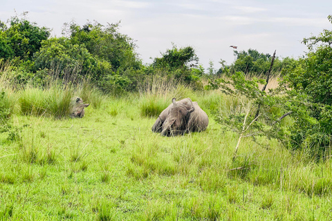 Ziwa Rhino Sanctuary Guided Walking Tour