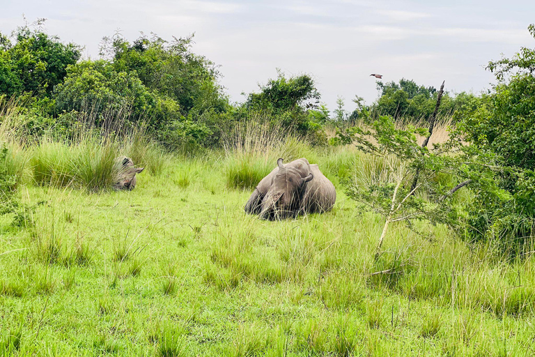 Ziwa Rhino Sanctuary Guided Walking Tour