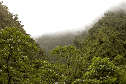 Manu Cultural Zone Tour 5 Days