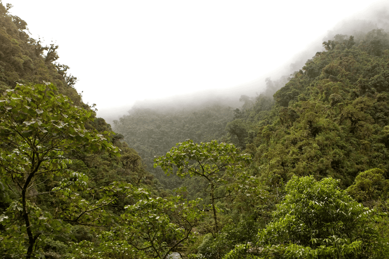 Manu Cultural Zone Tour 5 Days