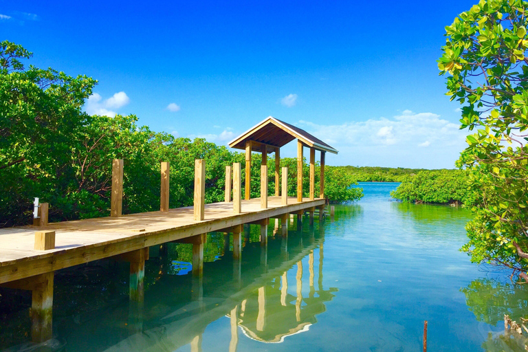 Punta Cana: Ecological Reserve 4x4 Tour with Tastings