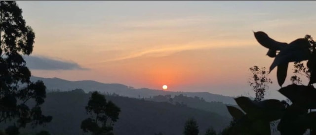 Addis Ababa: Sunrise Coffee Ritual & Hidden Villages Tour