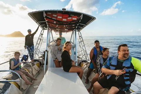Oahu: Dolphin Swim and Turtle Snorkel Excursion in Waianae
