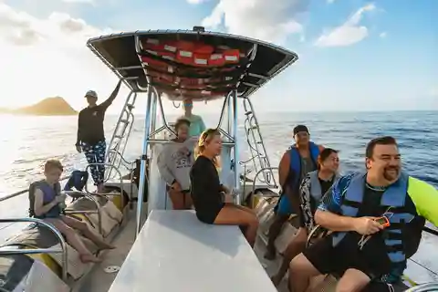 Oahu: Dolphin Swim and Turtle Snorkel Excursion in Waianae