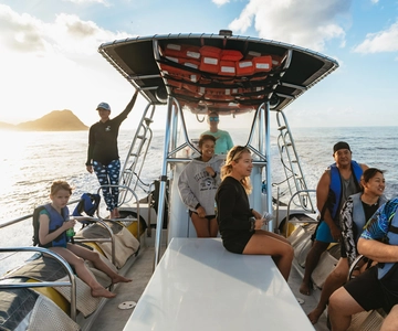 Oahu: Dolphin Swim and Turtle Snorkel Excursion in Waianae