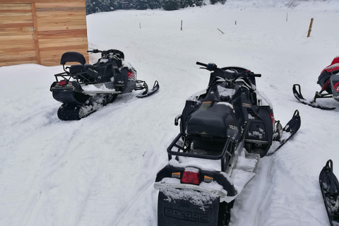 Sneeuwscooter, ATV of Buggy tour vanuit BoekarestSneeuwscooter Privé