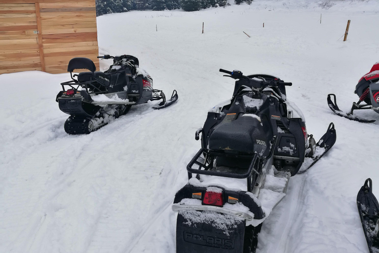 Snöskoter-, ATV- eller buggy-tur från BukarestSnöskoter Privat