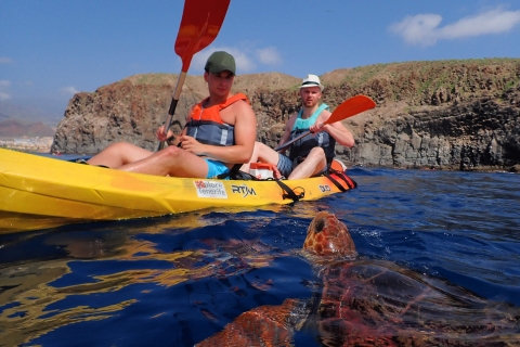 Snorkeling et kayak avec les tortues