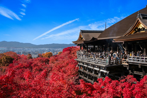 Kyoto: Private Guided Tour With Vehicle and Optional Add-Ons