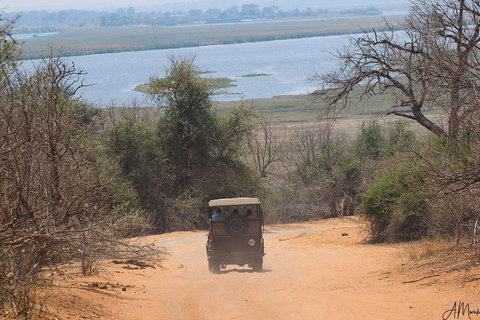 Livingstone: Chobe National Park Day Trip with Lunch