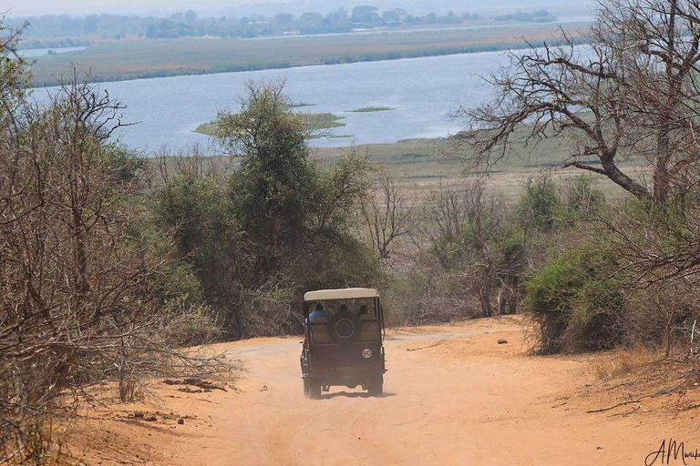 Livingstone: Chobe National Park Day Trip with Lunch