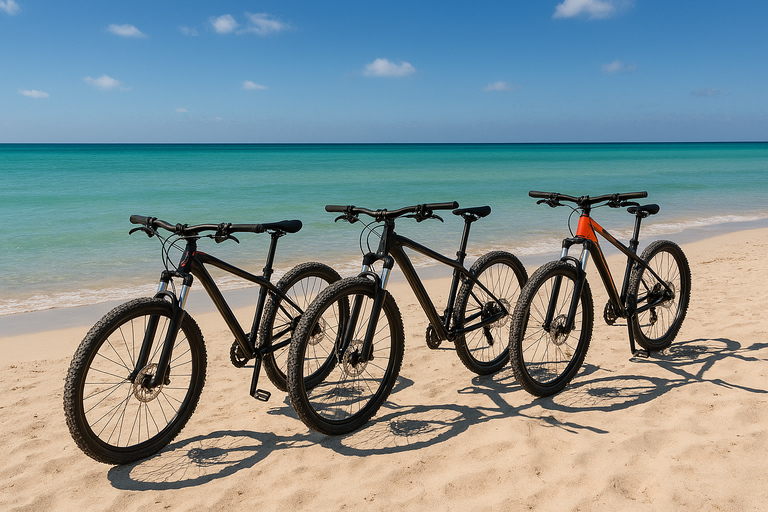 Djerba: Eco-friendly Guided E-bike Ride to the Blue Lagoon Djerba: Guided Eco Ride by E-Bike to the Blue Lagoon