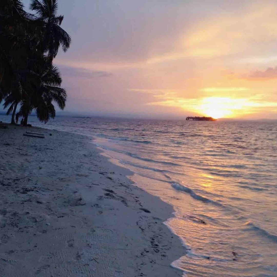 Galería de fotos para redes