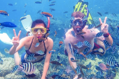 Zanzibar: Private Snorkeling Tour At Mnemba Island