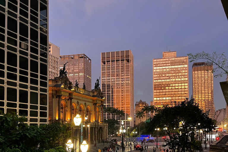 São Paulo: Underground Culture and Arts TourSão Paulo: tour door de undergroundcultuur en -kunst