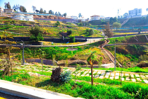 Addis Ababa: Entoto Forest Walk & Craft Workshop Tour