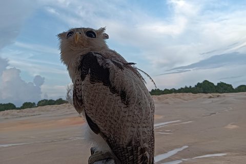 Bintan: Guided Tour of the Bintan Desert and Blue Lake