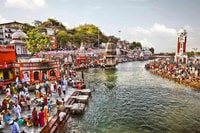 Jungle Ride & Haridwar City Tour desde Scooter desde Rishikesh - Housity