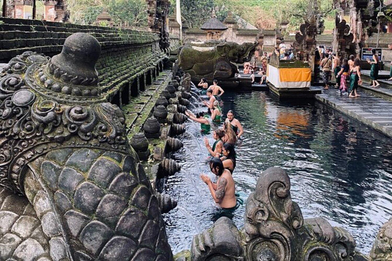 Ubud: Cascadas, Templo del Agua y Terrazas de Arroz Tour privadoTour privado con entrada Tikets